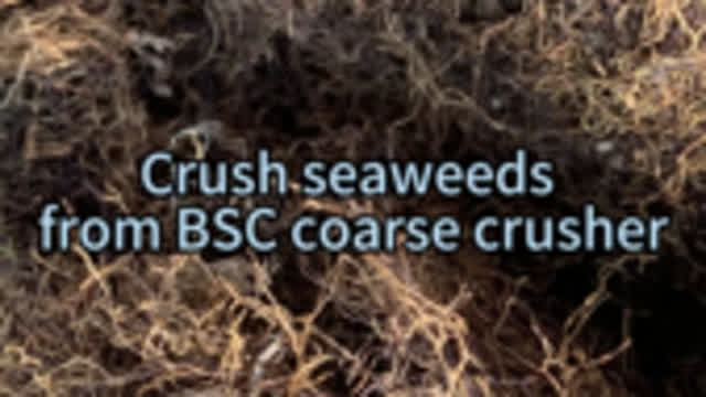 Crush seaweeds from BSC coarse crusher