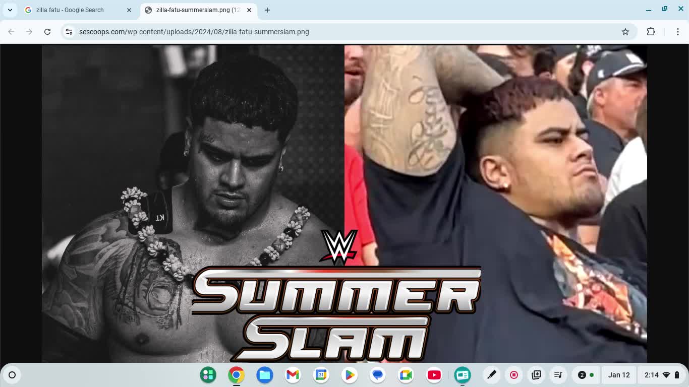 Zilla fatu kinda looked like my older brother who's deceased