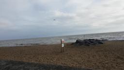 Walking down Clacton On Sea Essex beach weather share video 10 November 2018